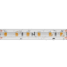 Светодиодная лента MAYTONI ULTRA 201212